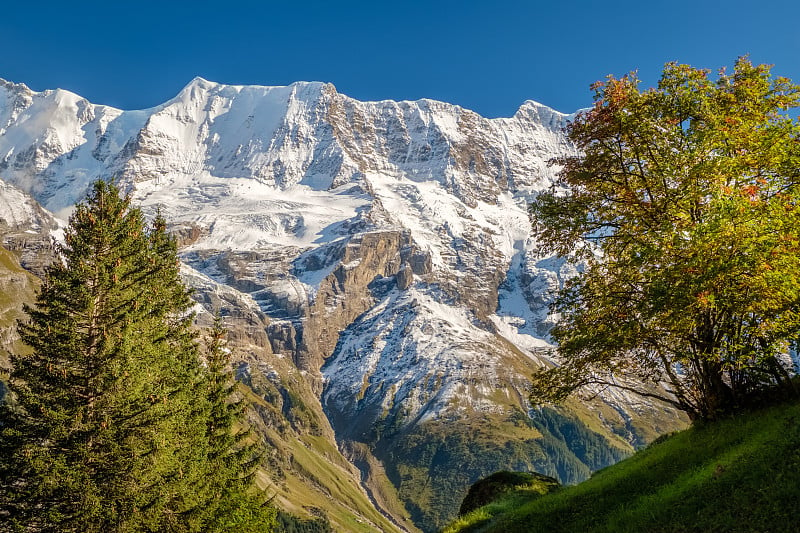 穆伦镇附近壮观的山景(Berner Oberland，瑞士)