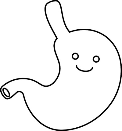 插图一个可爱的肚子轮廓