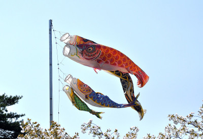 鲤鱼等浮电缆