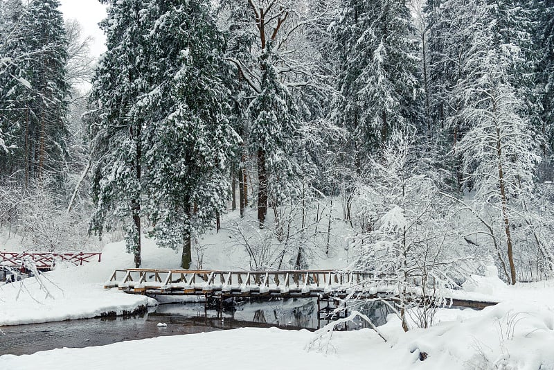 木桥上的河在冬天的森林里白雪皑皑，风景秀丽。