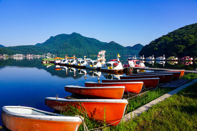 夏日的春菜湖，县春菜公园(群马县高崎市)