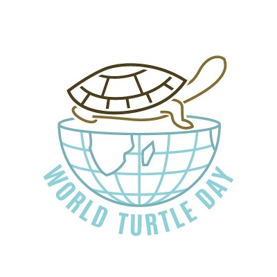 五月的世界海龟日。国际事件的标志