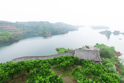 千岛湖的景观在雾天