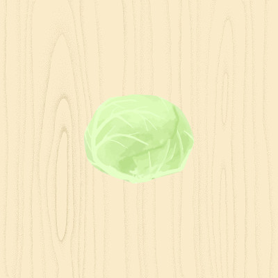 圆点木图案上的卷心菜，矢量插图