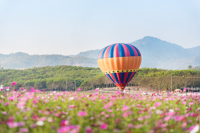 漂浮在宇宙花田上空的热气球