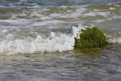 海