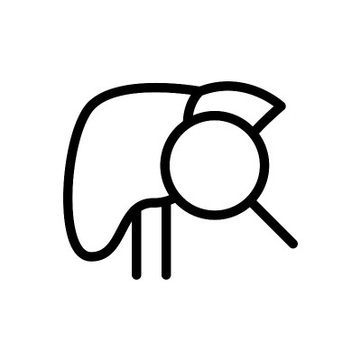 检查