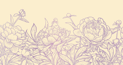 花卉无缝的边界。古董牡丹背景。手绘矢量插图。