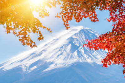 富士山秋色，日本