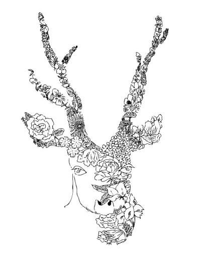 艺术鹿插图