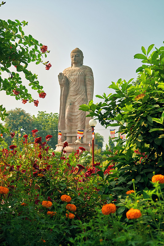 印度北方邦，泰国寺和萨那寺的大佛雕像