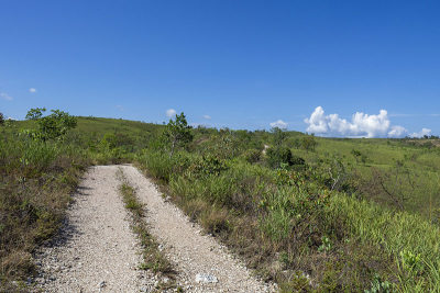 veadeiros的Chapada dos veadeiros