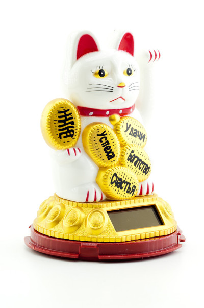 猫与太阳能电池板在白色背景
