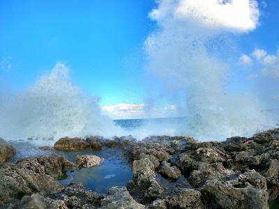 海