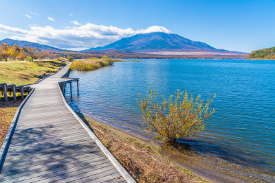 山中湖和富士山