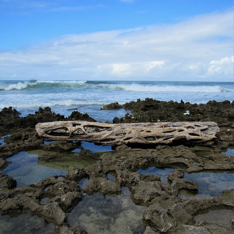 Pua'ena Point Beach Park, Haleiwa, North Shore, Oa