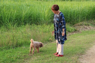 一个看狗的女人