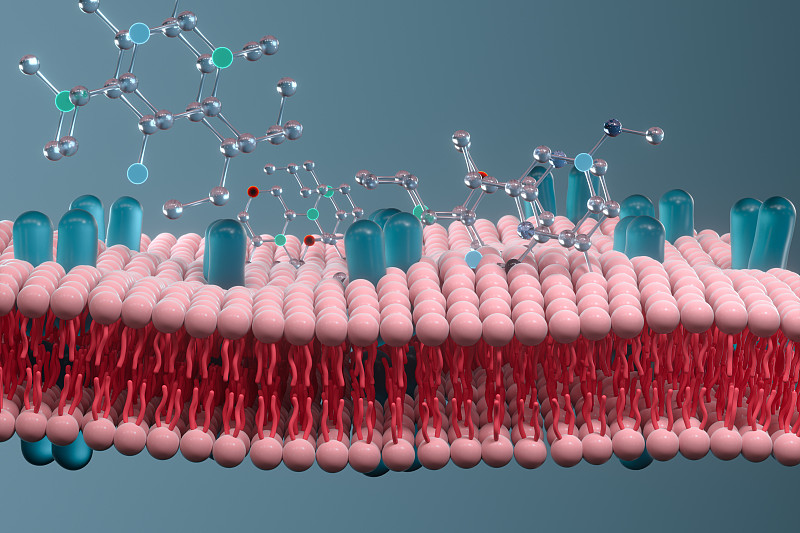细胞膜与生物学，生物学概念，3d渲染。