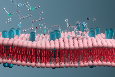细胞膜与生物学，生物学概念，3d渲染。