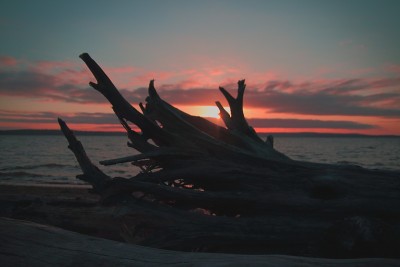 浮木窗户