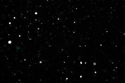 落下的雪在黑色的背景
