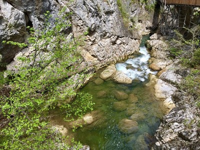 全球山脉Horma峡谷自然河木桥Pinarbasi Kastamonu 2019年5月