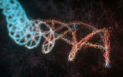 DNA测序分子