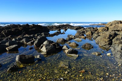 岩石在海边形成水池