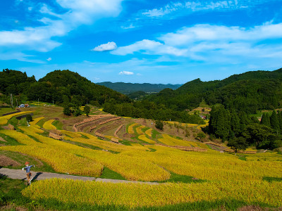 千叶县水稻梯田(Ohyama-senmaida)
