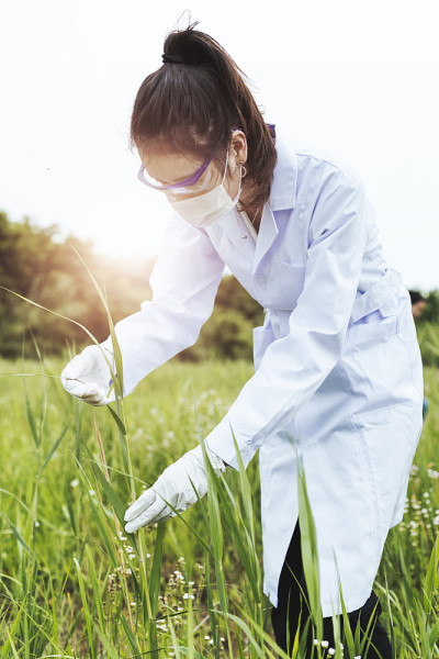 植物学家采集土壤样本