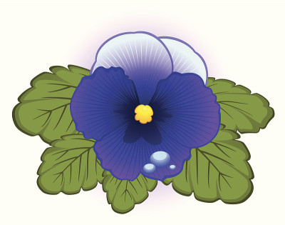 漂亮的蓝色堇型花。向量