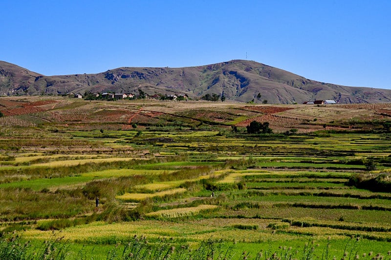 马达加斯加从塔那那利佛到莫龙达瓦的公路风景。梯田很漂亮。