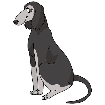 可爱的卡通萨卢基小狗品种矢量剪贴画。纯种犬舍狗品种为狗爱好者。纯种家犬为宠物客厅插图吉祥物。隔离犬猎