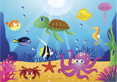 海洋生物