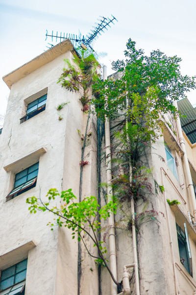 亚洲香港的旧建筑