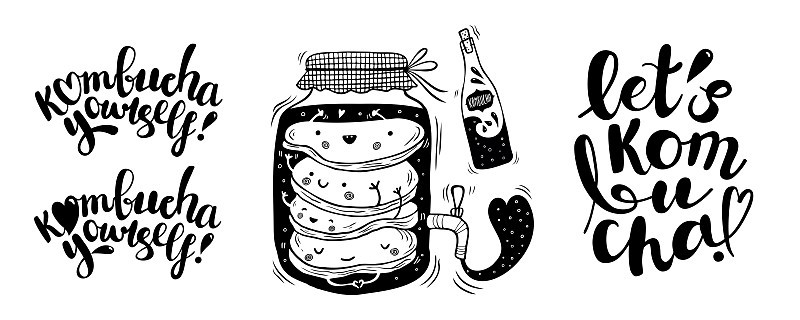 康普茶向量插图和字母