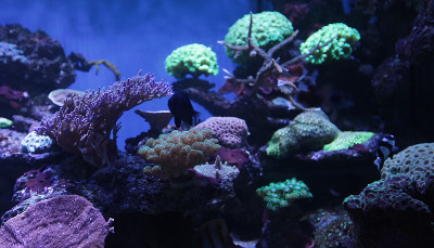 水族馆