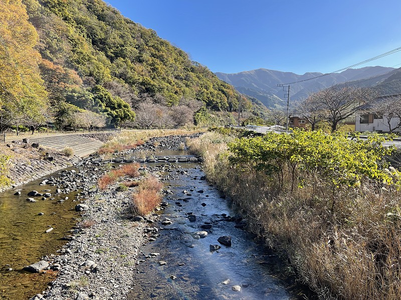 哈尔塞德丛林和河流