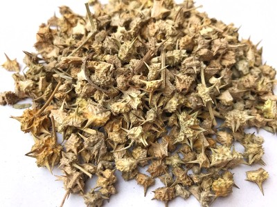 刺藤或刺蒺藜草