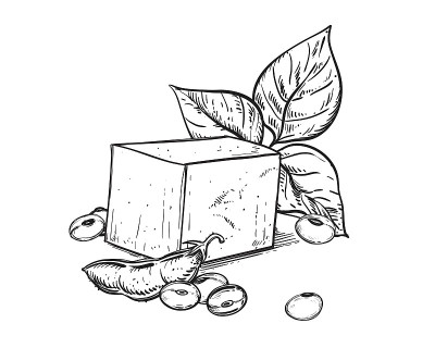 手绘黑白大豆素描，大豆植物，豆叶，豆腐。矢量插图。元素在图形风格标签，卡，不干胶，菜单，包装。雕刻风