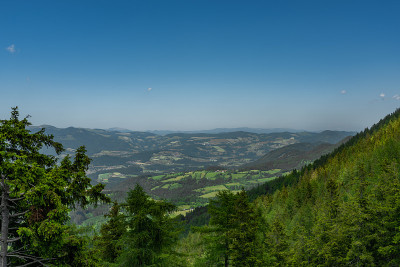 在奥地利，靠近Niederer Schockl山，有绿色的草地和篱笆