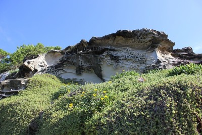 沿着邦迪到勃朗特海岸小径的风景