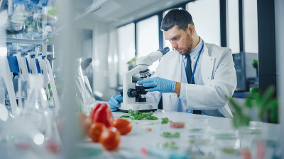 男性微生物学家将实验室培养的素食样品置于显微镜下进行分析。医学科学家在现代食品科学实验室为素食者研究