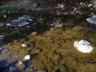 河水