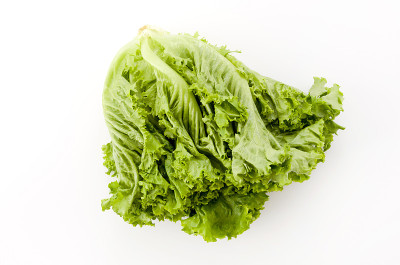 绿叶生菜在白色的背景