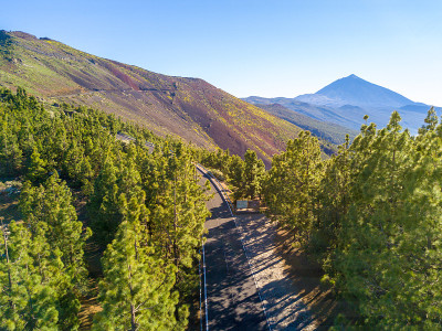 通往泰德火山的道路