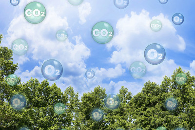 树冠在天空背景下与氧气O2和二氧化碳CO2分子-二氧化碳吸收和氧气释放的概念