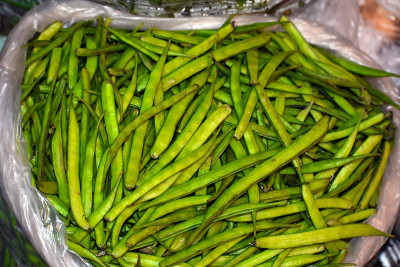 近距离拍摄绿色的新鲜豆子