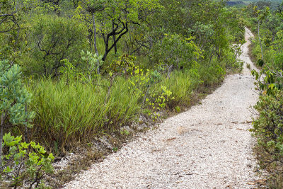 Veadeiros的Chapada dos Veadeiros