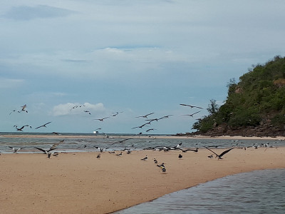 另一个DO chao - santarem - amazon - para - brasil